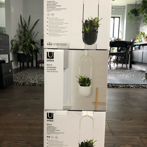 Umbra Bolo Wall or Hanging Planter - Picture 3 of 5